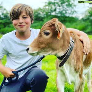 Mathias Coppens Instagram - Welkom kleine Patrick 🥳🤪 (patrick is de stier rechts) de linkse is mijn liefste stiertje van de wereld @marcel_coppens ❤️
