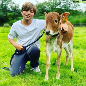 Mathias Coppens Instagram - Welkom kleine Patrick 🥳🤪 (patrick is de stier rechts) de linkse is mijn liefste stiertje van de wereld @marcel_coppens ❤️