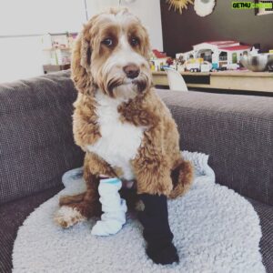 Mathias Coppens Instagram - #steunkousen voor iedereen! Anders  zijn is dik ok! ❤️