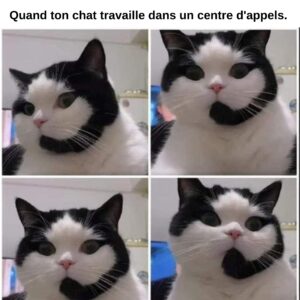 Mathieu Cyr Instagram - Bonjour/hi!