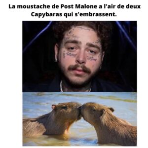 Mathieu Cyr Instagram - Maintenant j'vois juste ça. 🤦🏻