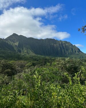 Mathieu Dufresne Instagram - Hawaii dump 🌴