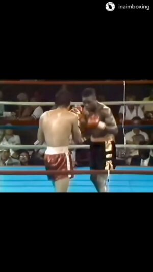Matt Brown Instagram - Melodic Taylor! Next level hand speed and reactions! Too bad Chavez beat his brains out of him. Literally. Boxing is a brutal sport… Protect your brain with creatine  I prefer @try_create_ gummies link in bio use code IMMORTAL to save