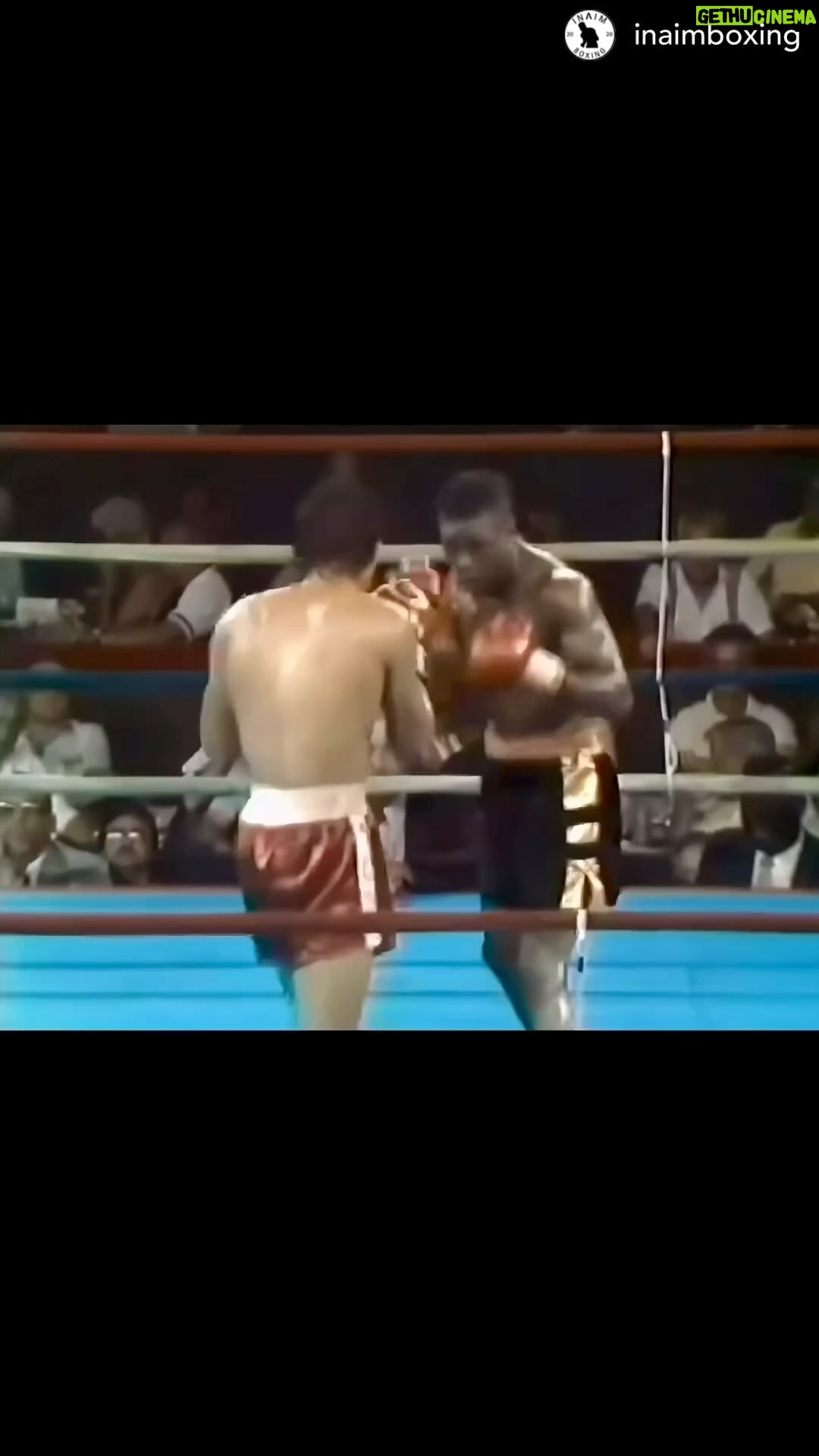 Matt Brown - 698 Likes - Melodic Taylor! Next level hand speed and reactions! Too bad Chavez beat his brains out of him. Literally. Boxing is a brutal sport… Protect your brain with creatine I prefer @try_create_ gummies link in bio use code IMMORTAL to save