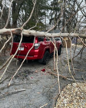 Matt Brown Instagram - Good morning soldiers! Woke up to this today! Pray for the 4Runner that she’s ok and gets back to normal soon she’s going through a hard time and needs your support 🙏🏻🙏🏻🙏🏻