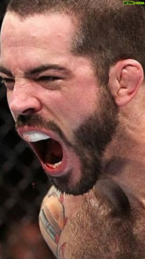 Matt Brown - 499 Likes - Tom on the origin of the double dynamic day for MMA Athletes, developed when he was working with Matt Brown @iamtheimmortal
#westsidebarbell #conjugate #mma #dynamiceffort #conditioning