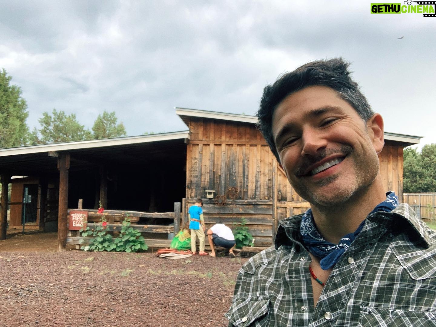 Matt Dallas - 7K Likes - Look at those cuties back there 🧚🏻♀️⚔️👨🏻🌾