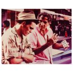 Matt Dillon