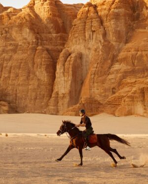 Matt Harnacke Instagram - Galloping across the AlUla desert on an Arabian stallion is something I’ll never forget. @alulamoments #AlUlaMoments #RichardMilleAlUlaDesertPolo
#WinterPolo #AlUlaDesertPolo #AD