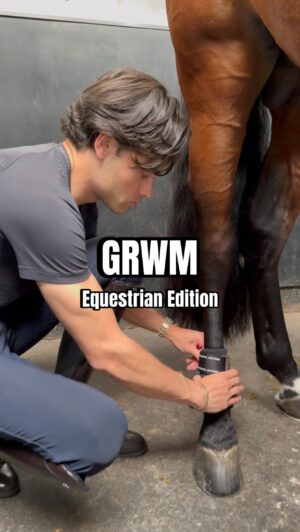 Matt Harnacke Instagram - I’m giving away this full set from @esstockholm want to win? 😏🫣

Follow me and @esstockholm then just drop a comment, winners announced in 24 hours 🙂‍↔️

Your chance to win 
Dressage Saddle Pad Golden Brown – Full
Anatomic Tendon Boots Brown – Full
Anatomic Fetlock Boots Brown – Full
Ear Bonnet Padded Plain Chocolate – Full
Anatomic Glimmer Leather Halter All Brown – Cob