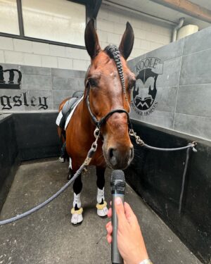 Matt Harnacke Instagram - My diamonds of the season 💎 🐴 🐶