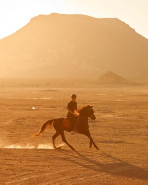 Matt Harnacke Instagram - Galloping across the AlUla desert on an Arabian stallion is something I’ll never forget. @alulamoments #AlUlaMoments #RichardMilleAlUlaDesertPolo
#WinterPolo #AlUlaDesertPolo #AD