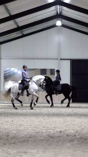 Matt Harnacke Instagram - PRE x Friesian power wearing the Dark Arcus collection I designed with @esstockholm