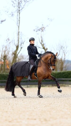 Matt Harnacke Instagram - Next level progress requires next level care, I have been loving my @catago_equestrian Fir Tech Pro Quarter rug which uses infrared waves to reduce tension and increase blood flow. I turn this on as I am warming up for 20 minutes. Super happy with the results so far, Etro has been changing so much the last couple of months! I am feeling that we may have a second competition horse on our hands 🥳😍🫶🏻