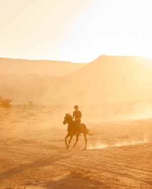 Matt Harnacke Instagram - Galloping across the AlUla desert on an Arabian stallion is something I’ll never forget. @alulamoments #AlUlaMoments #RichardMilleAlUlaDesertPolo
#WinterPolo #AlUlaDesertPolo #AD
