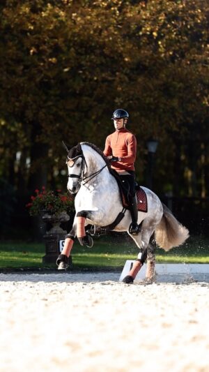 Matt Harnacke Instagram - Some of my favourites 🫶🏻 @esstockholm Single or not, celebrate you and your equestrian passion.
Explore amazing deals and exclusive offers - this weekend
only @esstockholm