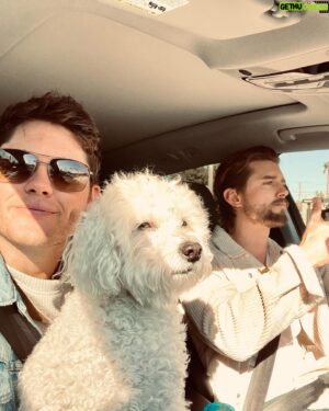 Matt Shively Instagram - November dump after Thanksgiving dinner…