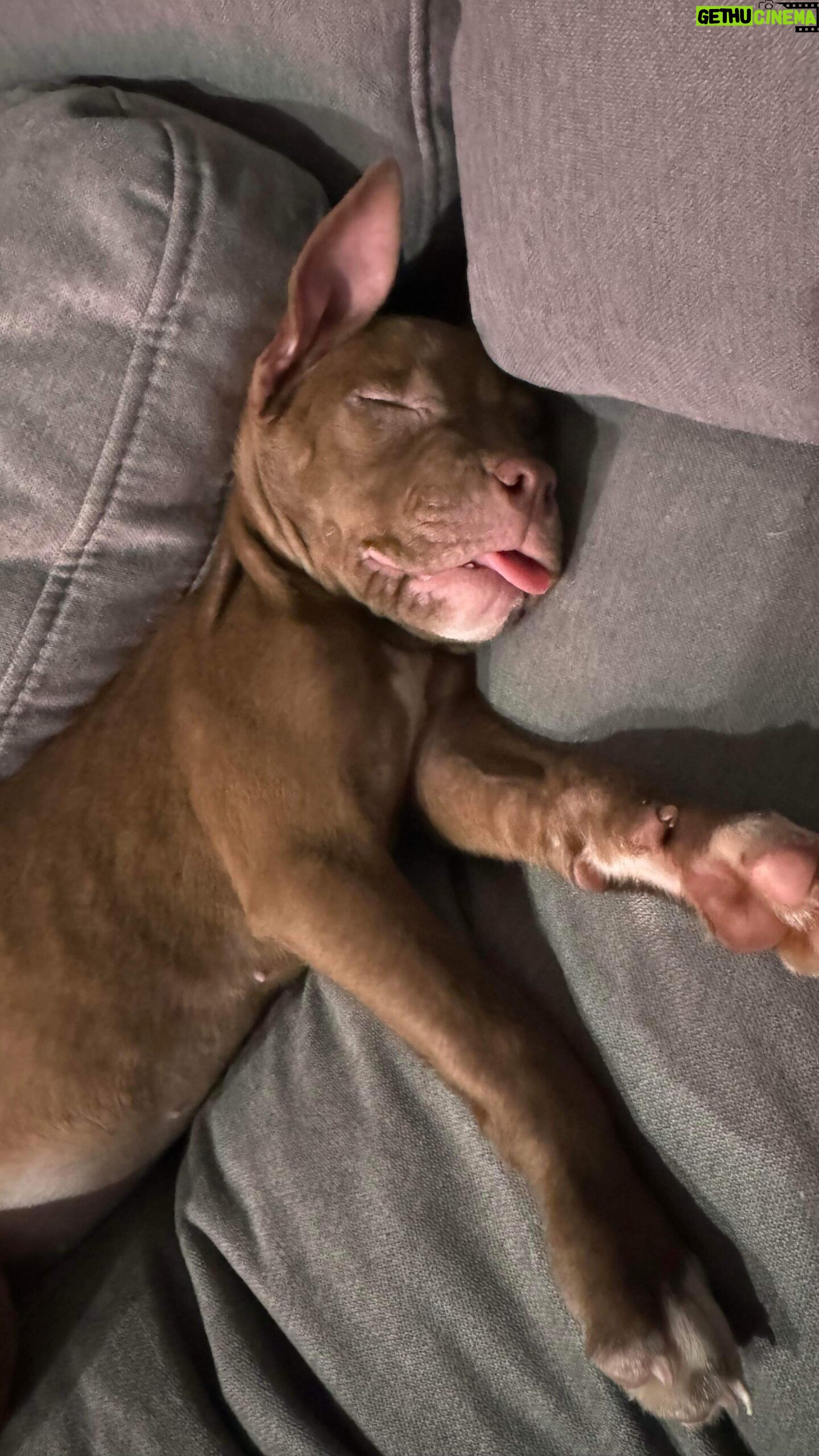 Matthew Adams - 48.4K Likes - Welcome to the Family little Bella!