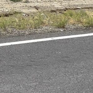 Matthew Bellamy Instagram - Biked out of Burning man to Gerlach, 5 miles through boggy wet desert and 12 miles on mountain roads, epic journey!