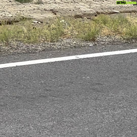 Matthew Bellamy - 67.9K Likes - Biked out of Burning man to Gerlach, 5 miles through boggy wet desert and 12 miles on mountain roads, epic journey!