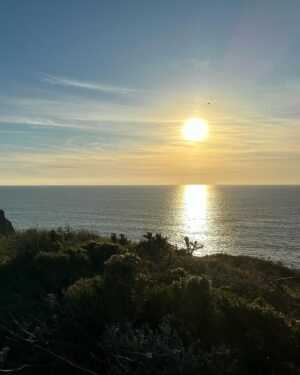 Matthew Cardarople Instagram - Merry Christmas from Point Dume ❤️🙏🎄 wishing everyone a happy and peaceful year. Love you all.