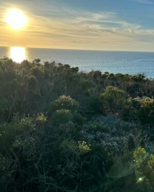 Matthew Cardarople Instagram - Merry Christmas from Point Dume ❤️🙏🎄 wishing everyone a happy and peaceful year. Love you all.