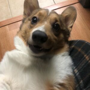 Matthew Mercer Instagram - It’s a good day for some Omar pics. I love this little floof.