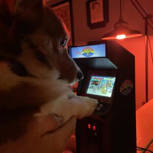 Matthew Mercer Instagram - He needs some practice with Blanka...