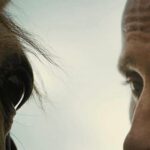 Matthias Schoenaerts