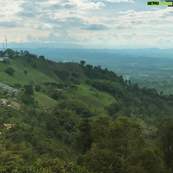 Mauricio Hénao - 29.6K Likes - Hoy me tome el mejor café con mi madre y en mi tierra Colombia 🌱🍃🌿 🇨🇴☕️