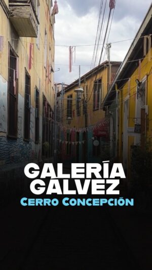 Mauricio Jürgensen Instagram - ✨¡Una Joya de Galería!🌈 que destaca por su colorido y buen gusto 😍 recorramos la hermosa @galeriagalvez junto al callejero @mauriciojurgensenr 🎨

¿Dónde seguimos?😌