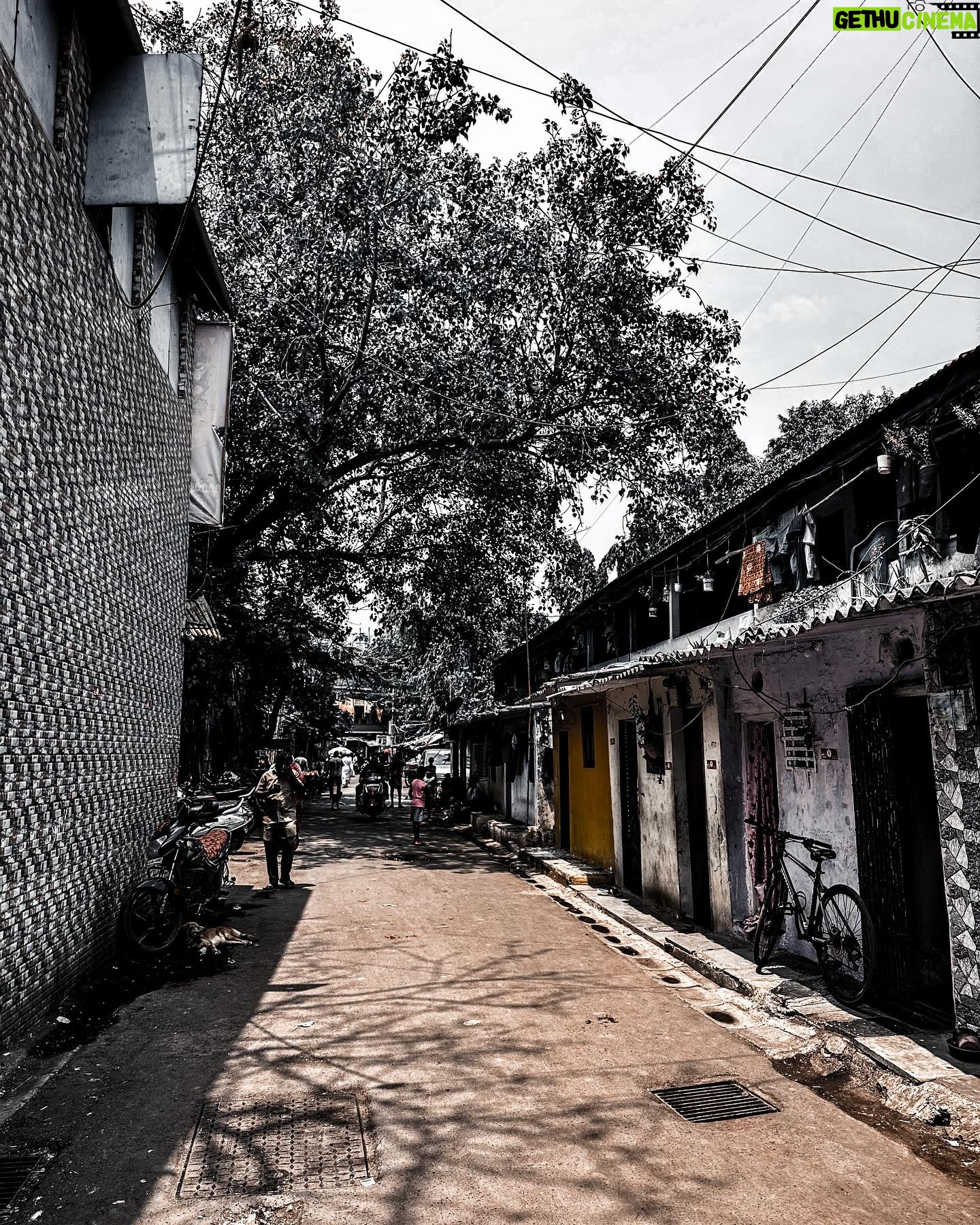Max George - 3 Likes - A place we’ll never forget. We can’t wait to come back 🖤🇮🇳