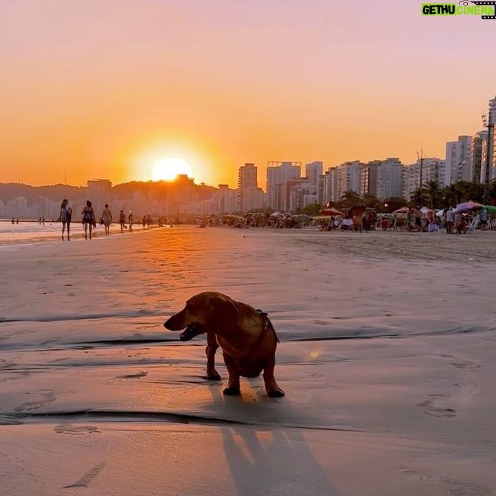 Max Joseph - 9.6K Likes - Boa tarde. Postcards from Santos, Brazil 🇧🇷
