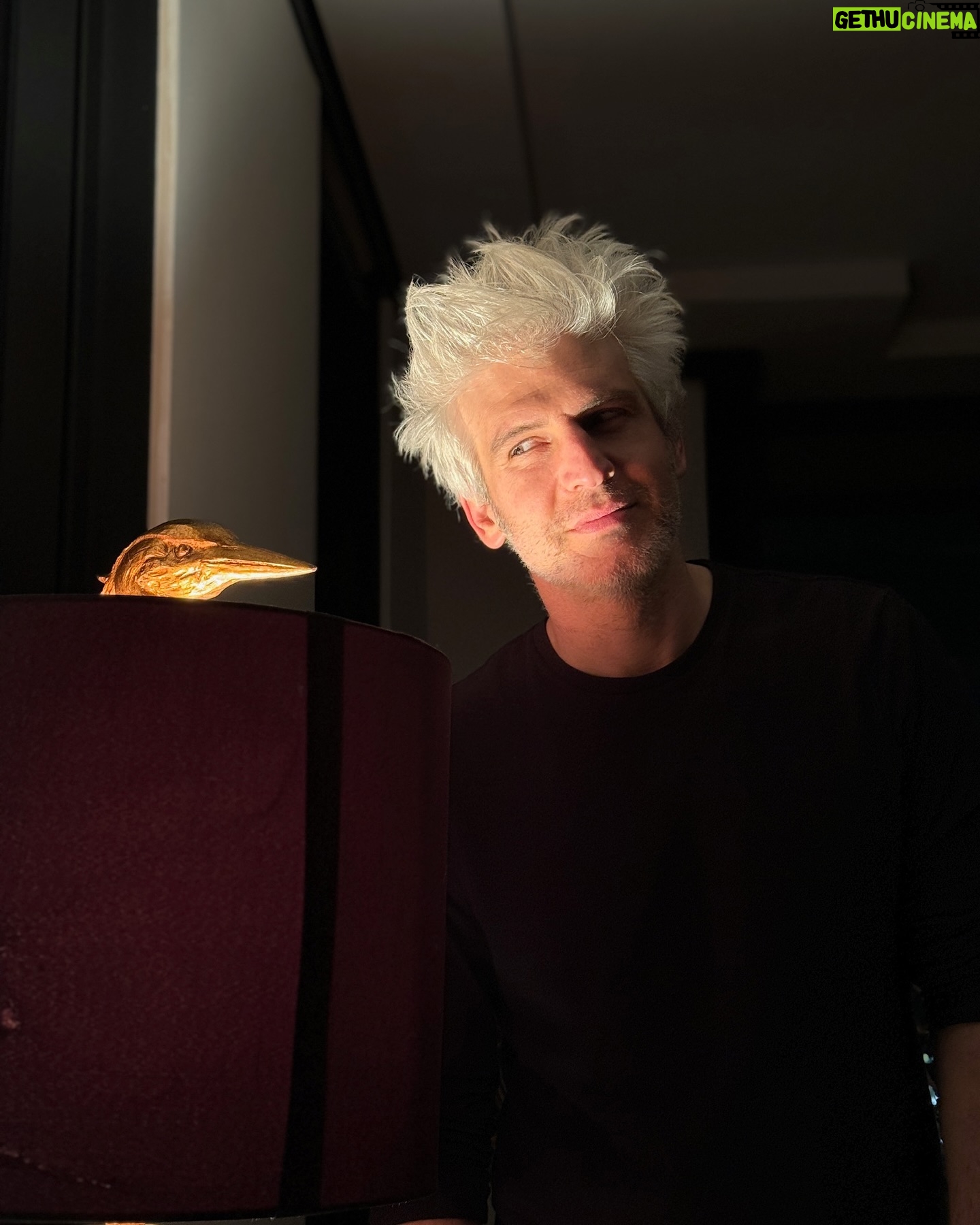 Max Joseph - 5.6K Likes - If you feel like you’re being watched, you are
