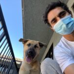 Max Minghella