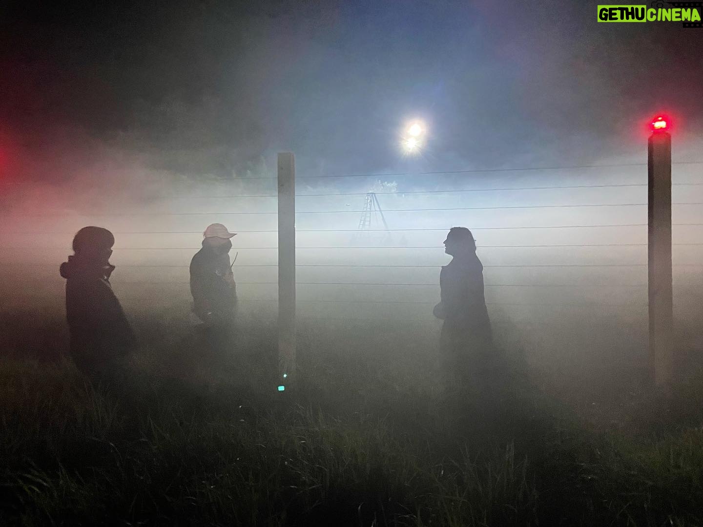 Max Minghella - 16.3K Likes - Shadows & Fog