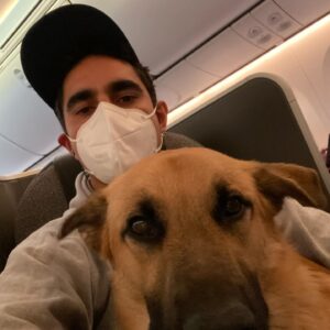 Max Minghella Instagram - One year of living with this party animal #adoptdontshop @thelabellefoundation