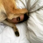 Max Minghella