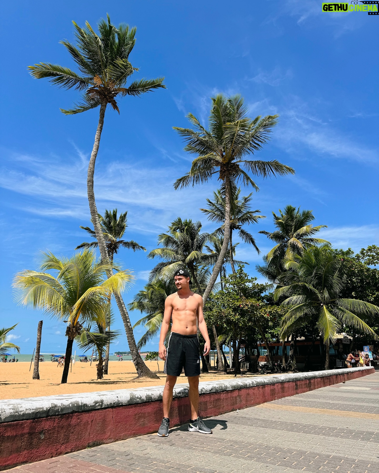 Max Petterson - 35.7K Likes - 🌴
