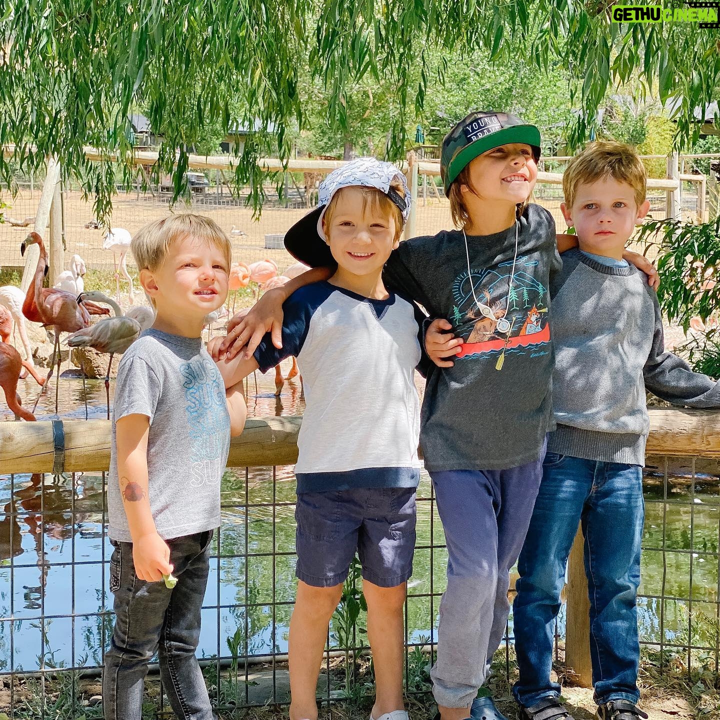 Max Thieriot - 25.2K Likes - Had the best time at @safariwest with the littles. Here I am sharing a snack with my new buddy š¤£ā¤ļø