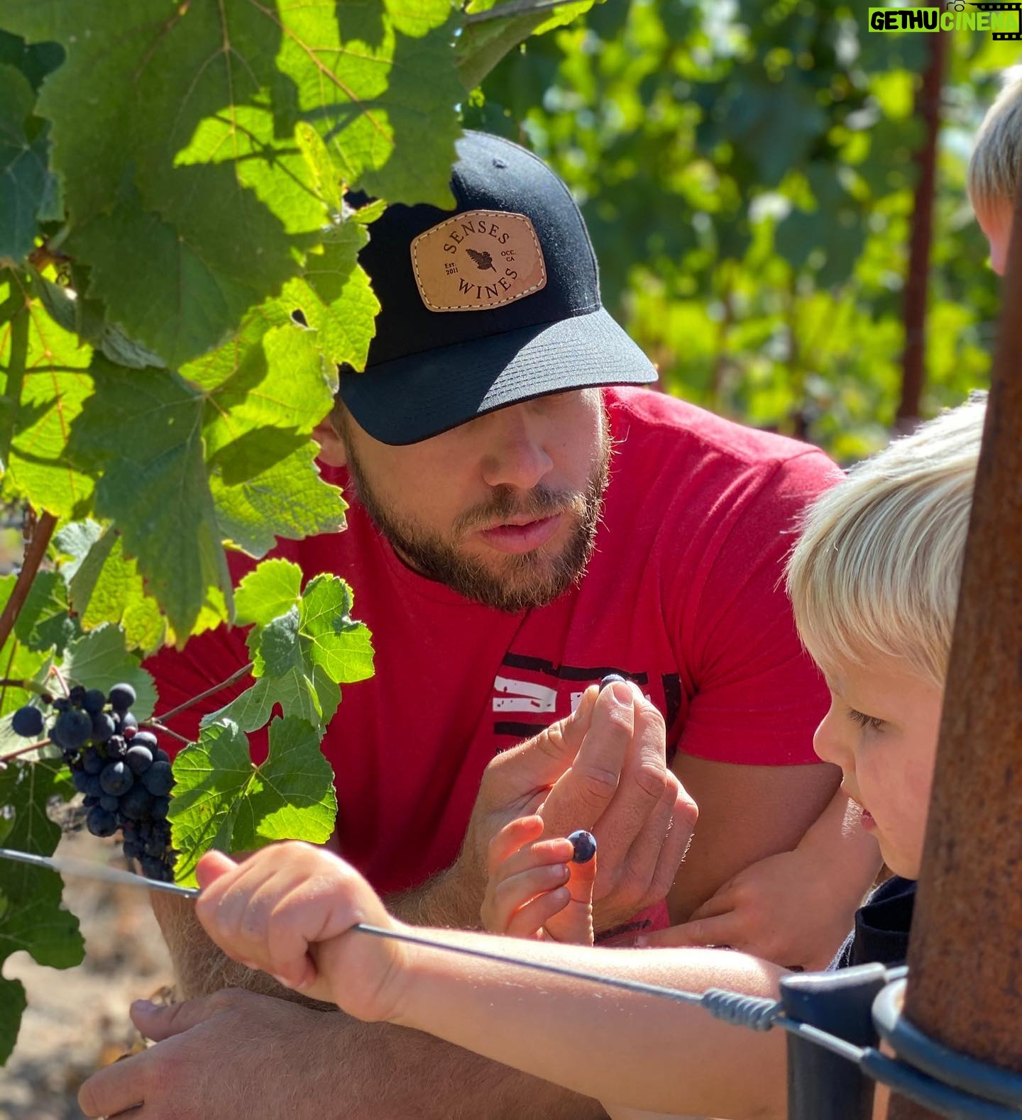 Max Thieriot - 30K Likes - Couple shots from the vineyard in honor of @senseswines release this Tuesday! #sonomacoast #sonomacounty #thieriotbodega #flashbackfriday #fbf #senseswines #pinotnoir #winelover