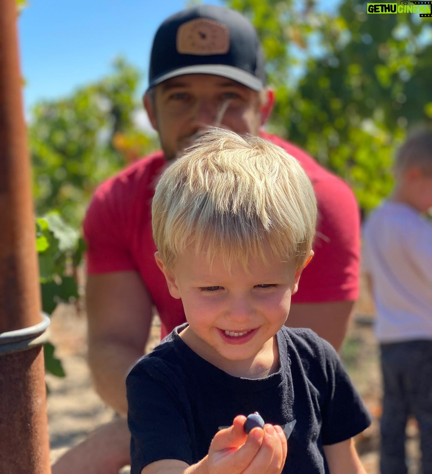 Max Thieriot - 30K Likes - Couple shots from the vineyard in honor of @senseswines release this Tuesday! #sonomacoast #sonomacounty #thieriotbodega #flashbackfriday #fbf #senseswines #pinotnoir #winelover