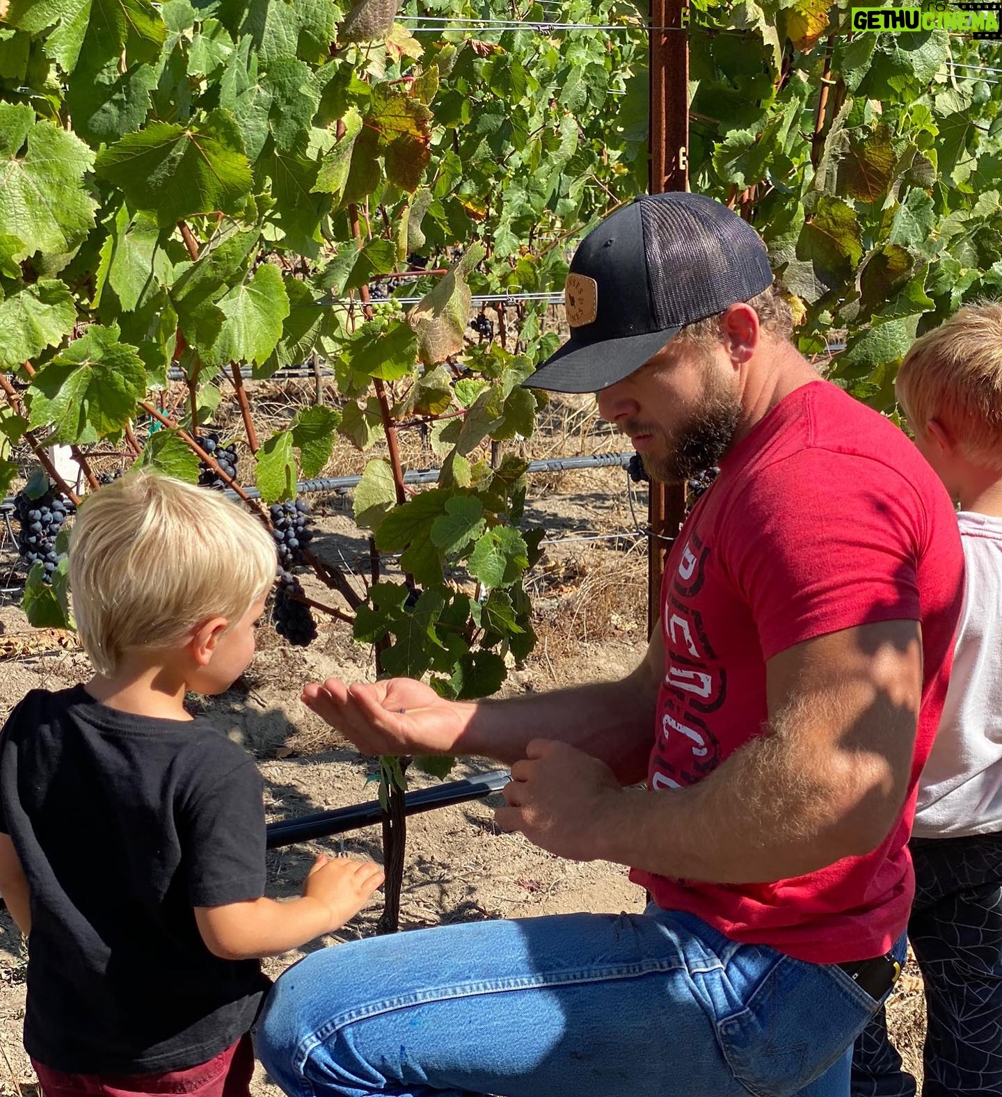 Max Thieriot - 30K Likes - Couple shots from the vineyard in honor of @senseswines release this Tuesday! #sonomacoast #sonomacounty #thieriotbodega #flashbackfriday #fbf #senseswines #pinotnoir #winelover