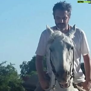 Maxi Ghione Instagram - 👇👇👇👇👇👇👇👇👇👇👇👇Caballos tuve seis,
El Mimo, Javier Quinteros, Princesa, Chavela, Pampita, y el subversivo Cirilo. 
Pero caballo como Tornado, a mi tiempo no ha llegado su algún potrillo como él, con su malacara pintada en la frente, sus patas flotabando, sus crines de plástico y tres margaritas colgando en los estribos.
Tordillo su pelaje y una alzada de metro y cachito.
Un viejito con un mate amagaba para que le robe su bombilla y si no la cazaba, me regalaba igual dos caramelotes de cereza.
Le puse Tornado porque no se porque. 
Después crecí y tuve cuatro Ferraris que coleaban y viajaban desde el baño hasta la sala.
De Tornado no supe nada,
capaz que el pingo se mudó de calesita, 
capaz que el pingo se murió de calesita
...subiendo y bajando,
al Antón Pirulero o a la amada María Elena.
Las Ferraris las tengo, le faltan las ruedas.
Que linda vida de cowboy viví en mi amanecer.
Que lindo fue.
Voy a pagar la factura de mi teléfono, tengo miedo a que me
corten el servicio.
Que lindo fue.

.
#LiteraturaDeBarro #MaxiGhione