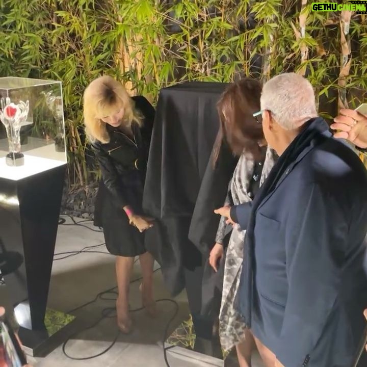 Mayling Ng - 1.4K Likes - On Nov 11th I will be beyond honored to be awarded this beautiful sculpture for the Asian Film festival Rising Star 💫
Thank you to @asianworldff for recognizing me and to my friends who came to the announcement at the pre 🎉 party
⬅️Swipe to see me throw my jacket as George unexpectedly calls me to come to the stage, as @sirdanielwinn reveals my Snow Leopard art piece 🤍 and the 1st pic is with @andycheng23 action director of @shangchi who maybe getting an award his badass self and my mates in the who are all 🥷in the 🎥 industry