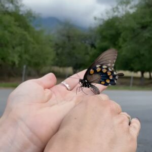 Mayra Hermosillo Instagram - SIERRA MADRE.

Recuerdo que caminaba por Coyoacán cuando Gabriel y Ale me hicieron una llamada para decirme que me tenían una buena noticia: Erika, Monterrey, una historia nueva que contar juntos. 

Desde hace rato creo que lo que pasa durante y detrás del rodaje es la preparación de la nueva piel de todas y todos los que emprendemos el viaje.

Ha sido una sonrisa tras suspiro ver el carrete de fotos y recordarnos haciendo esta serie. Desde el casting, callback, otro callback, la carretera con Natalia y Tomasa, conocer a María que ahora es mi familia también, inspirarme en Yvonne para ser Erika, conocer a tantas personas bellas, tomarles fotos, pasear por las calles de Monterrey, brindar, cantar. Ver a Ale, nuestra directora, firmar autógrafos, Nuncio sacando sus pasos de baile con todo y su cansancio, Ludivina y su corazón que une junto con su risa, Martín y su ternura por delante, Rodrigo y el tarot con buenas vibras, Víctor Chispita observando, Barreiro y su piquito de chico fresa, Fer Garzafox con su corazón bello, Dany Salinas que me hace reír con su autenticidad siempre que la veo, Rodarte que tiene una masterclass para que se le resbale y disfrutar la vida, Tessa y sus muchas referencias de lectura, Osorno y Josh escribiendo a cada uno de nuestros personajes… 

Es una avalancha de memorias que es taaaaanto que no cabe aquí.  Gracias a cada uno y cada una por existir y hacerme ver nuevas formas de hacer las cosas y de estar en la vida como actriz y como persona. 

Mars, Zapiain … Gracias por permanecer desde que nos conocimos en Monterrey. 🌊❤️