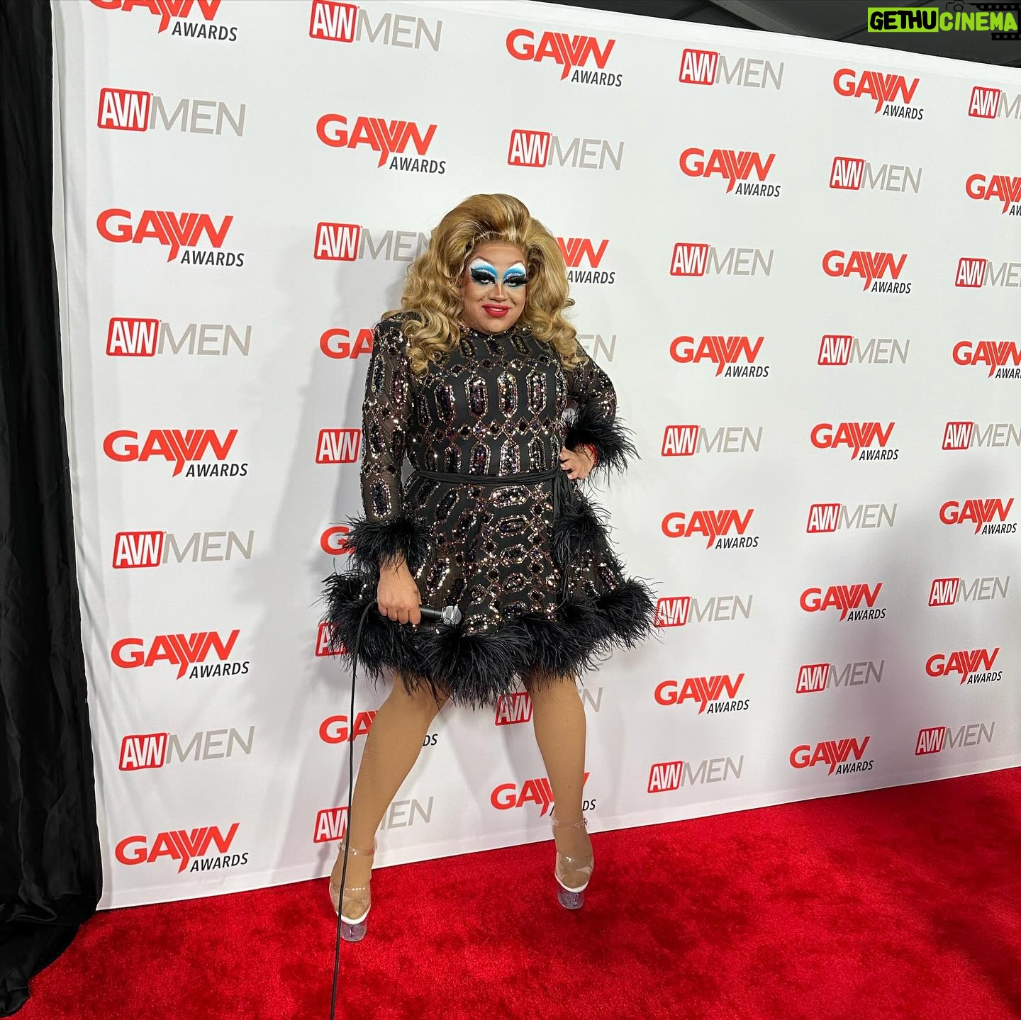 Meatball - 2.3K Likes - Had so much fun on the GayVN red carpet last night. Met a lot of horny people… thanks @avn
Also i was on tequila.