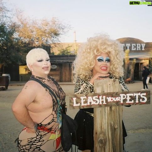 Meatball - 1.9K Likes - Had an absolute blast giving brunch shows at @orvillepeck 5th annual rodeo at @pappyandharriets . Couldn’t have had a better group of divas with me!
Pics by @brandenmarcus