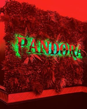 Megan Guénard Instagram - Endless fun at @pandorasupperclub 🥂
Good food, good drinks, good Dj and good crew!
Thanks for the invitation 🙏

#nightlife #nightclub #recommended
