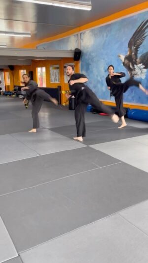 Megan Le Instagram - On Mondays…we line dance. 🕺🏻
I’ve always felt weird about recording DURING actual class in a dojang. Like running a red light or that cringe when your phone rings in a theatre. The space just feels too sacred. 
So I save it for the weird, experimental stuff afterwards. 😜
Feeling the good vibes in beautiful @moorimgoong 

Where’s your sacred space?

With @stuntpete and @ericaarrias13 
Special thanks to @davidsmoon 
.
.
.
#tkd #xmaform #linedance #dancer #goodtogo #taekwondo #mma #art #athlete #artist #dojang #motivationmonday #karate #muaythai #boxing #fitness #training #trainingpartner